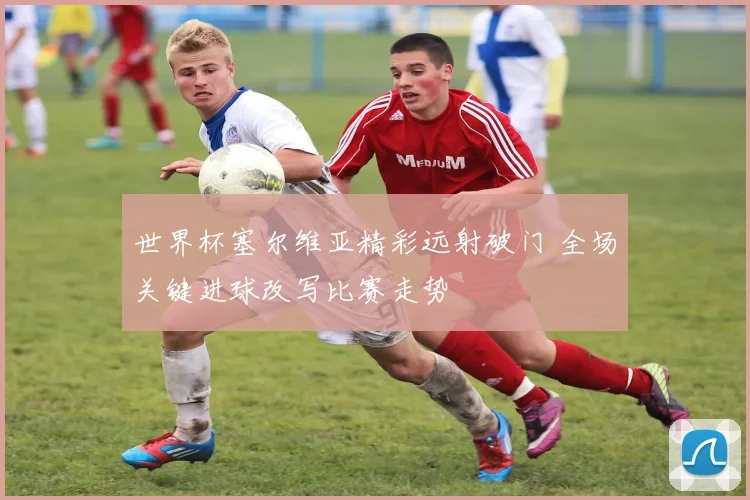 世界杯塞尔维亚精彩远射破门 全场关键进球改写比赛走势