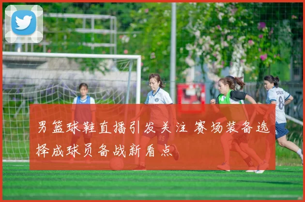 男篮球鞋直播引发关注 赛场装备选择成球员备战新看点