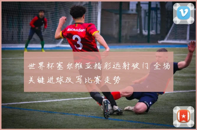 世界杯塞尔维亚精彩远射破门 全场关键进球改写比赛走势